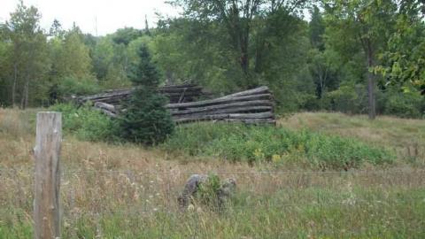 Beautiful   cover photo