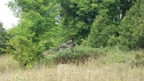 Beautiful   - Newfoundout-(ghost-town)76.jpg