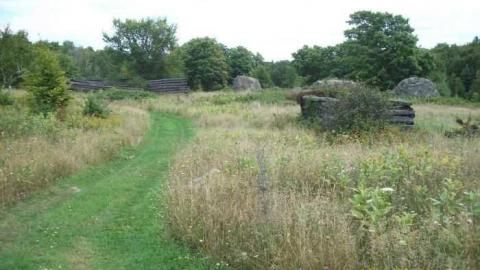 Beautiful   - Newfoundout-(ghost-town)72.jpg