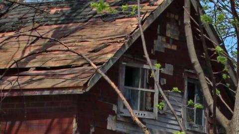 Hamilton Mt. Rubbish photo 2