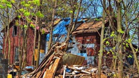 need it need it need it - Hamilton-Mt.-Rubbish3.jpg