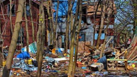 Hamilton Mt. Rubbish photo 3