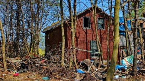 Hamilton Mt. Rubbish photo 4