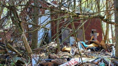 need it need it need it - Hamilton-Mt.-Rubbish7.jpg