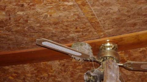 Caved in home Apr 28/2012 - Sebright-(The-Arthurs-Tragedy)22.jpg