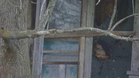 Photo from Exterior photos Apr 28/2012