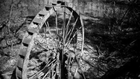 Photo from In the Mill of Nowhere