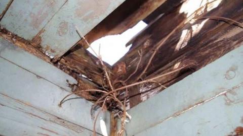 Old work train car - Uhthoff-(ghost-town)29.jpg