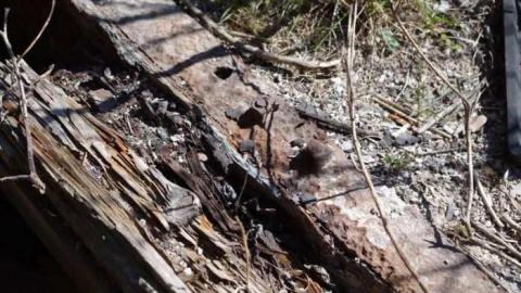 Old work train car - Uhthoff-(ghost-town)30.jpg