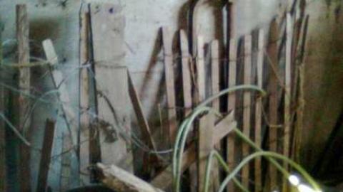 somewhere in essa township - Pinkerton-Farm35.jpg