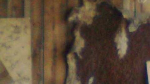 somewhere in essa township - Pinkerton-Farm37.jpg