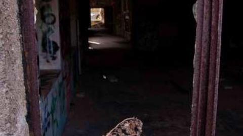 April 2012 - Barber-Paper-Mill-Georgetown79.jpg