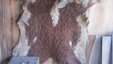 farm house - Pinkerton-Farm78.jpg