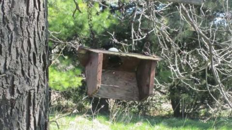 farm house - Pinkerton-Farm74.jpg