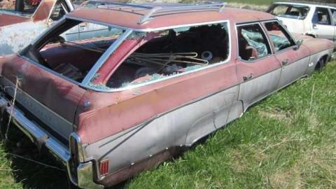 more of a good thing - IMG_4328.jpg