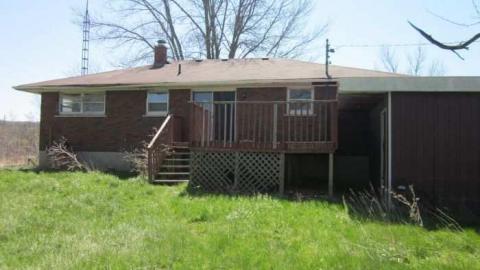 more of a good thing - IMG_4333.jpg