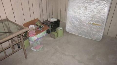 stages of decay - IMG_4338.jpg