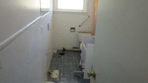 stages of decay - IMG_4344.jpg