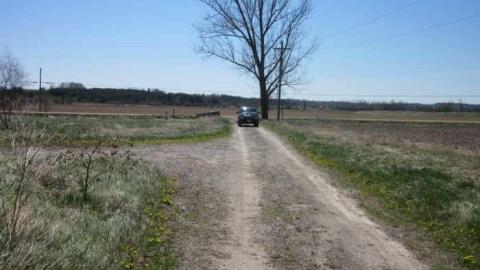 stages of decay - IMG_4350.jpg