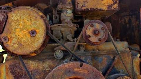 Early Bird - arnd gue 049licocr.jpg