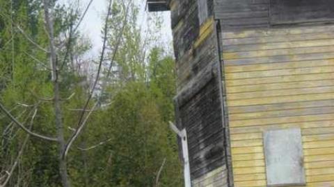 Photo from Old Yeller