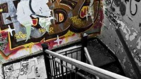 Gallery - DSC_2905 small.jpg