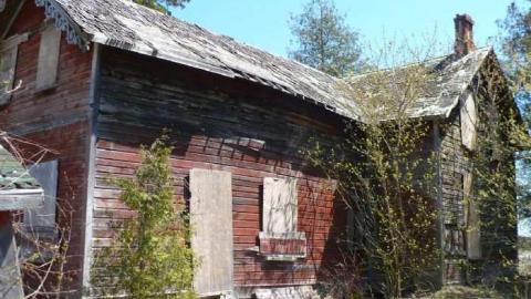 Fenel Cake - P1070206.jpg