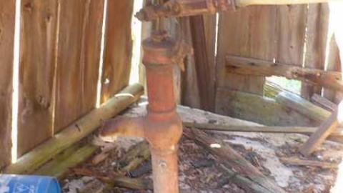 Fenel Cake - P1070208.jpg