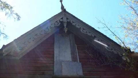 Fenel Cake - P1070209.jpg