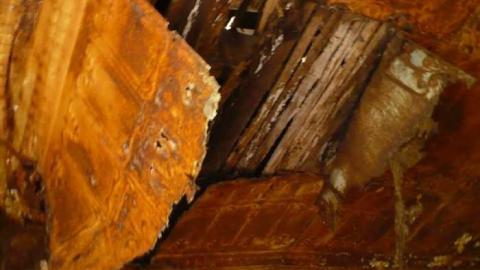 Fenel Cake - P1070214.jpg