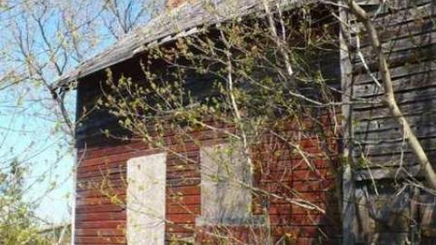 Fenel Cake - P1070218.jpg