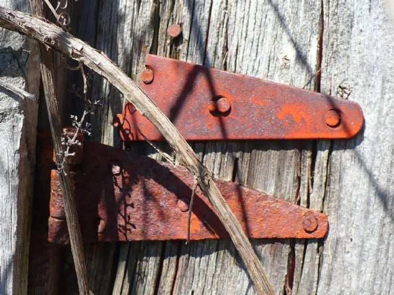 Fenel Cake - P1070221.jpg