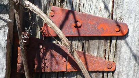 Fenel Cake - P1070221.jpg