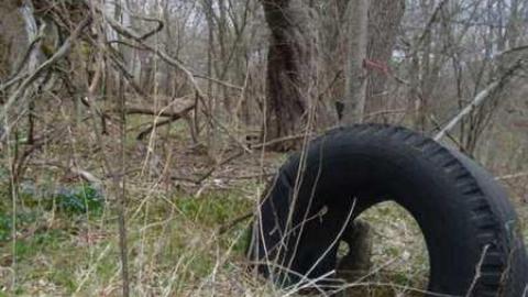 Decaying house  - DSC00553.jpg