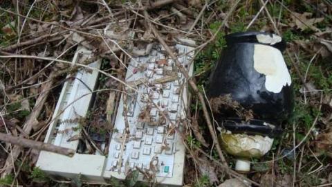 Decaying house  - DSC00555.jpg