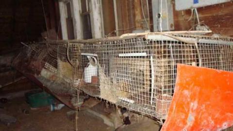 Decaying house  - DSC00559.jpg