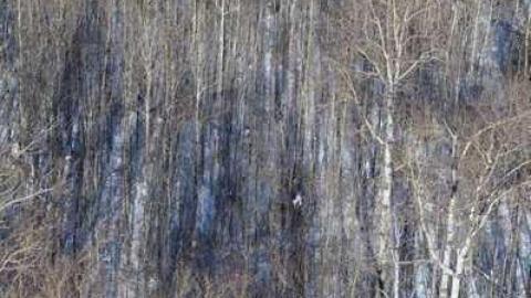 Sistonens - Conmee-Fire-Tower4.jpg