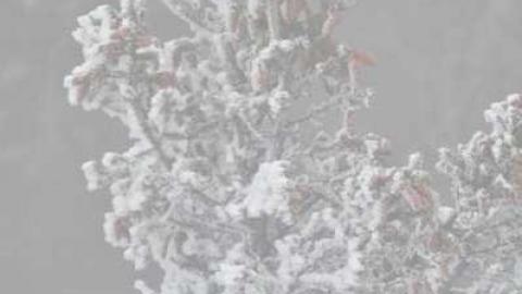 Conmee Fire Tower - Conmee, Ontario