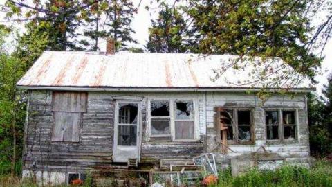 1993 -2012 - Mother-Marys-Messy-Mansion18.jpg