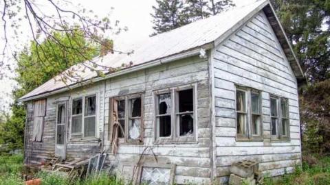 1993 -2012 - Mother-Marys-Messy-Mansion109.jpg