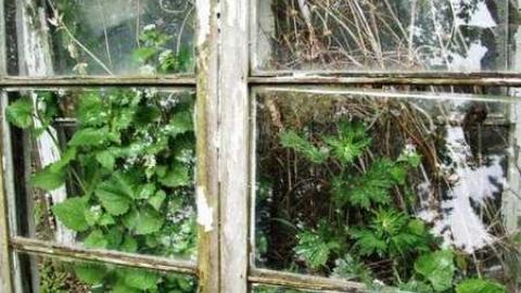 1993 -2012 - Mother-Marys-Messy-Mansion20.jpg