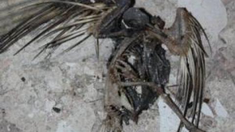 Gallery - Smiths-Falls-Hospital45.jpg