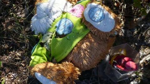 Sad little cemetery photo 3