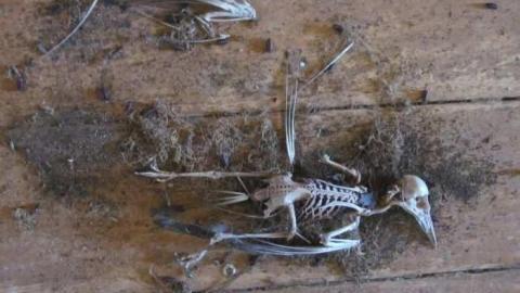 farm house - Pinkerton-Farm92.jpg