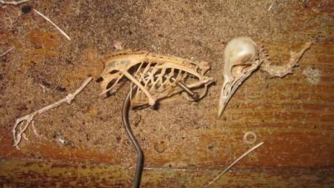 farm house - Pinkerton-Farm93.jpg