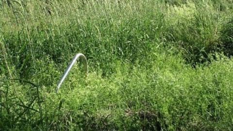 Gallery - Burned-Out-House-near-Ottawa2.jpg