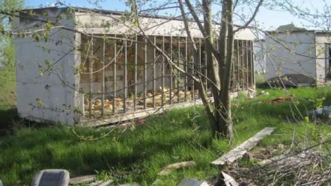 Dollhouse Gentleman's Club photo 4