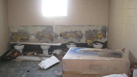 Dollhouse Gentleman's Club photo 3