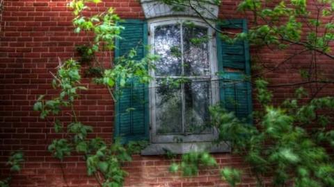 Dirt Farm, now Filthy Rich - Hurontario-Street85.jpg