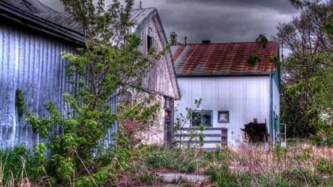 Dirt Farm, now Filthy Rich - Hurontario-Street86.jpg